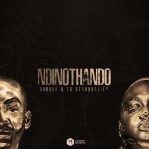 Album Ndinothando from Darque