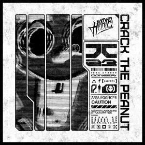ดาวน์โหลดและฟังเพลง Crack The Peanut พร้อมเนื้อเพลงจาก Høbie