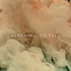 Album Learning to Fall from Matthew Perryman Jones