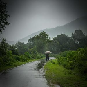 Rain Recorders的专辑Peaceful Sound of Rain for Good Mood and Relaxation