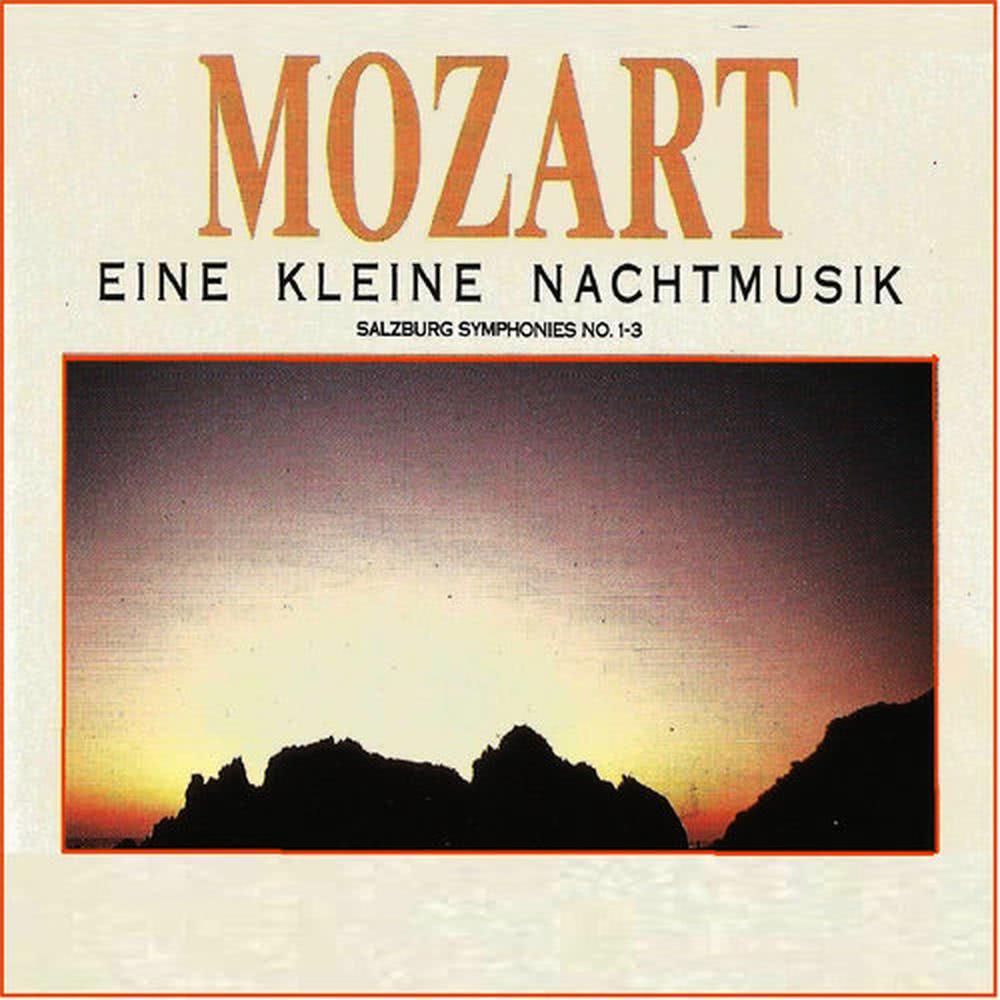 Eine kleine Nachtmusik, K. 525: IV. Rondo - Allegro