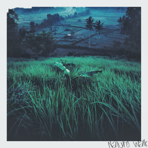 Album nature walk from Chillum