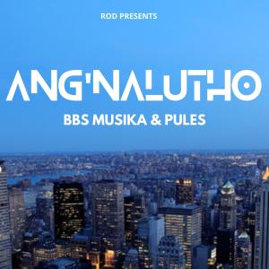 Listen to Ang'nalutho (Vocal Feel Mix) song with lyrics from Pules