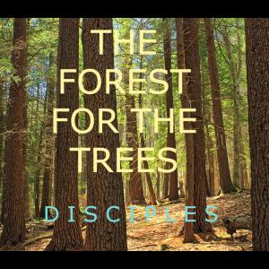 Album The Forest for the Trees from Disciples