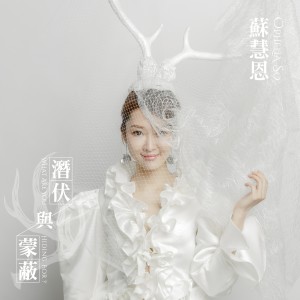 Album 潜伏与蒙蔽 (feat. Voltage Distor) oleh 苏慧恩