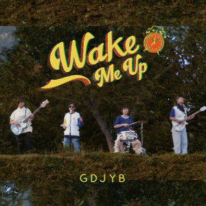 Album Wake Me Up from 鸡蛋蒸肉饼