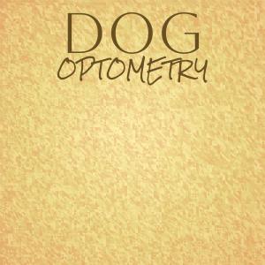 收听Damil Bler的Jazz Deploy歌词歌曲