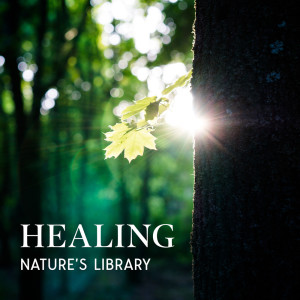 Album Healing Nature’s Library (Pure Sounds of Nature, No Music) from Nature Collection