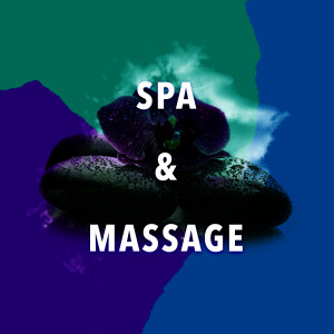 ดาวน์โหลดและฟังเพลง Alive with Birds พร้อมเนื้อเพลงจาก Nature Spa Meditation Music