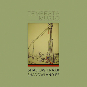 收聽Shadow Traxx的Shadowland (Begun Remix)歌詞歌曲