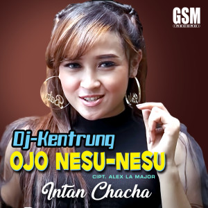 DJ Kentrung Ojo Nesu Nesu dari Intan Chacha