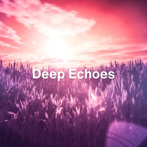 Album Deep Echoes oleh Beautiful Deep Sleep Music Universe