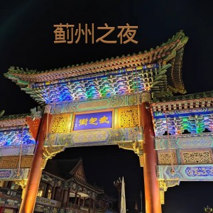 Listen to 蓟州之夜 (Live) song with lyrics from 潘国兴