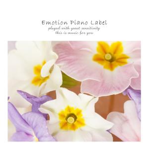 Album Evening Flowers from 멜로디버드