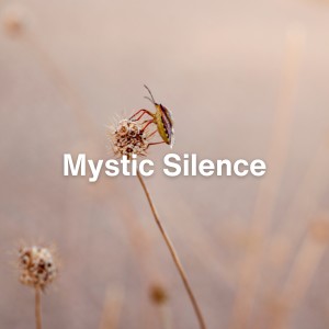 Album Mystic Silence oleh Relaxing Radiance