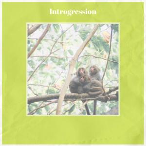 Listen to Crew song with lyrics from Jaca Zavier