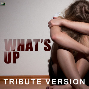 ดาวน์โหลดและฟังเพลง What's Up (Tribute Version) พร้อมเนื้อเพลงจาก Ameritz Tribute Standards