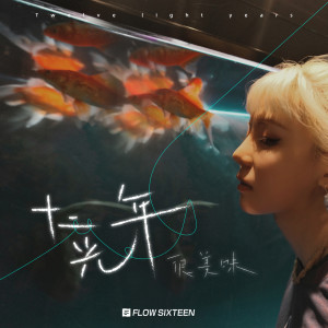很美味的專輯十二光年