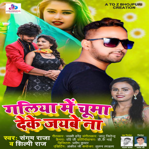 Listen to Galiya Me Chuma Deke Jaiybe Na song with lyrics from Shilpi Raj