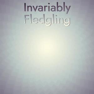 Various Artists的專輯Invariably Fledgling