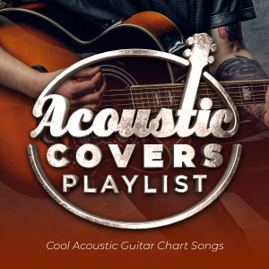 Listen to Nothing Breaks Like a Heart (Acoustic Version) (其他|Acoustic Version) song with lyrics from DJ Sirias