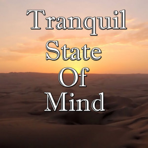 The Dunes的专辑Tranquil State Of Mind, Vol.2