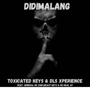 Album Didimalang (feat. General Ke Chipi, Beast Keys & De Real XP) from Toxicated Keys