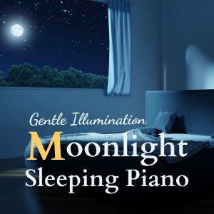 收聽Relax α Wave的It Lights The Night歌詞歌曲