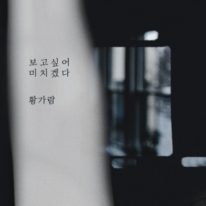Listen to 보고싶어 미치겠다 song with lyrics from Hwang Garam