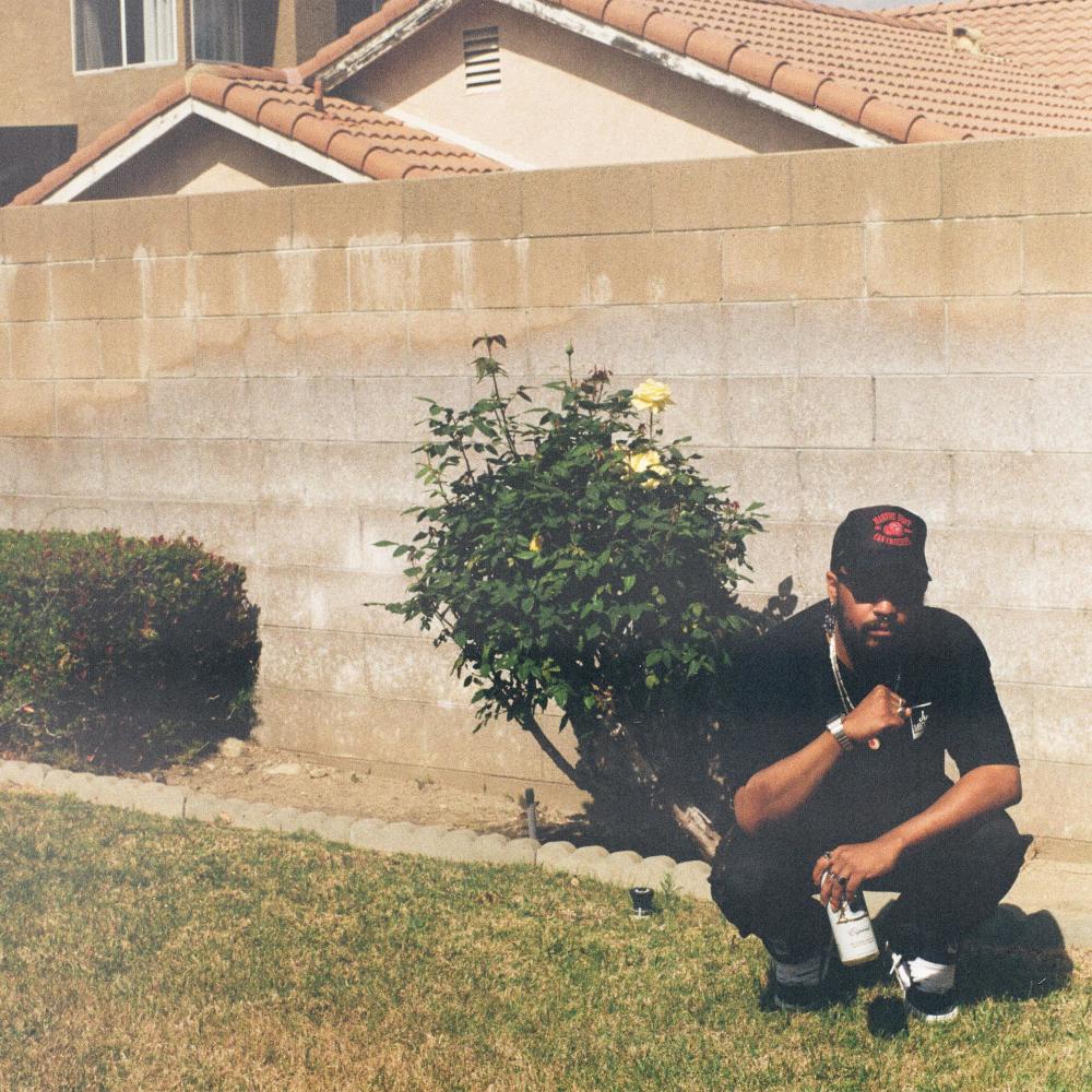 WILD 4 THA NIGHT (Explicit)