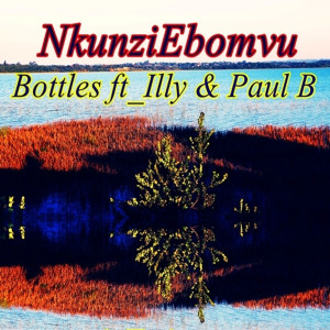 Album Bottles from Illy