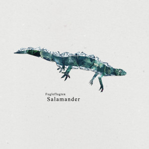 收聽Fugleflugten的Salamander歌詞歌曲