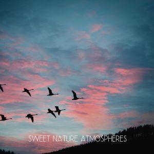 Dengarkan lagu Ocean Shore Waves Delicate Birds (Sleep Music - Deep and Relaxing Music) nyanyian Nature Sound Collection dengan lirik