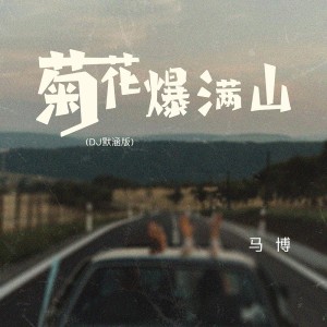 Listen to 菊花爆满山 (DJ默涵版伴奏) song with lyrics from 马博