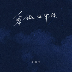 Album 卑微的守候 from 韦琴琴