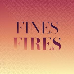 Various Artists的專輯Fines Fires