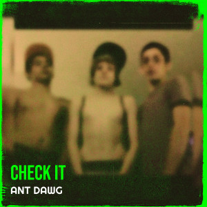 Listen to Check It (Explicit) song with lyrics from Ant Dawg