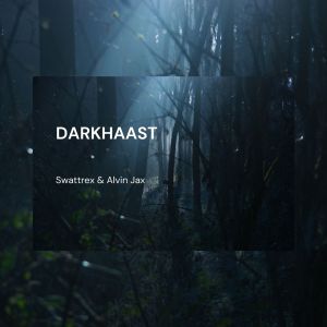 Album Darkhaast Lofi from Swattrex