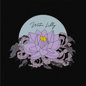 อัลบัม Water Lily (feat. bluetin) ศิลปิน Hanon(하논)