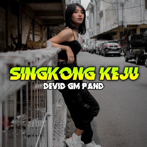 Dengarkan lagu SINGKONG KEJU nyanyian Devid Gm Pand dengan lirik