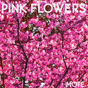 Listen to Pink Flowers (Explicit) song with lyrics from Mote