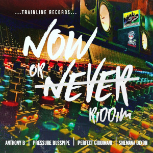 Various Artists的专辑Now or Never Riddim