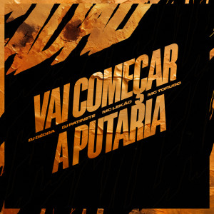Album VAI COMEÇAR A PUTARIA (Explicit) from Dj Dédda