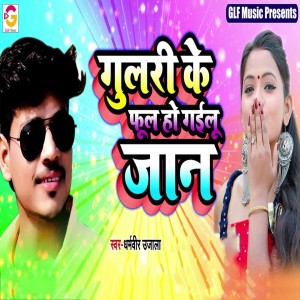 收听Dharmveer Ujala的Gulari Ke Ful Ho Gailu Jaan歌词歌曲