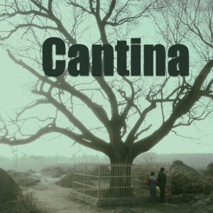 ดาวน์โหลดและฟังเพลง Cantina พร้อมเนื้อเพลงจาก Tronics