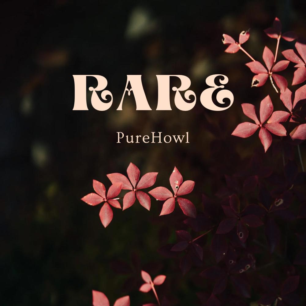 Rare (Special Version)