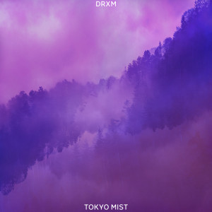 Listen to Tokyo Mist (Original Mix) song with lyrics from DRXM
