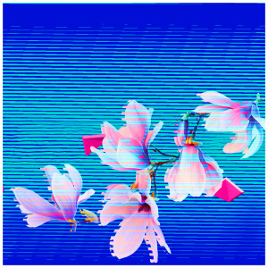 Album Future Rising from Bohan Phoenix