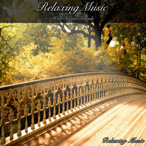 收聽Relaxing Music的Ambient Island歌詞歌曲