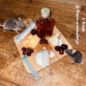 收聽Verena的Paracetamolletje歌詞歌曲